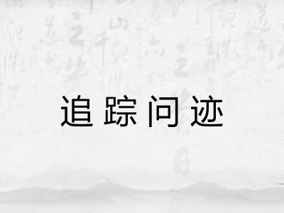 追踪问迹