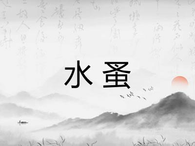 水蚤
