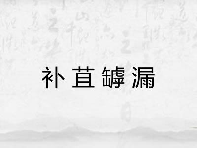 补苴罅漏