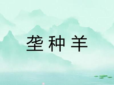 垄种羊