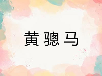 黄骢马