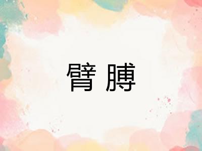 臂膊