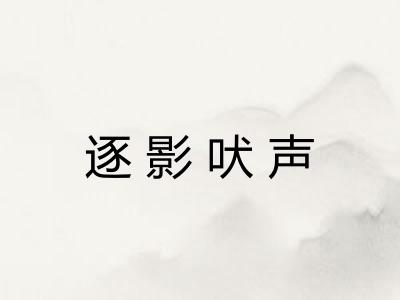逐影吠声