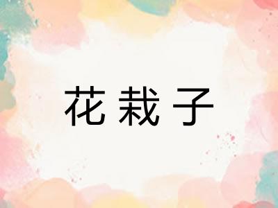 花栽子