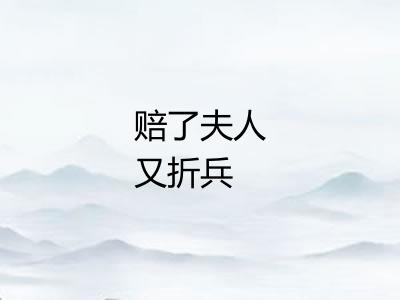 赔了夫人又折兵