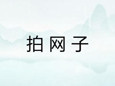拍网子