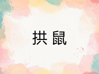 拱鼠