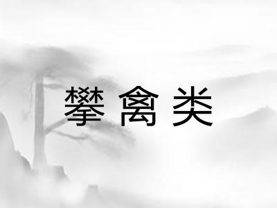 攀禽类