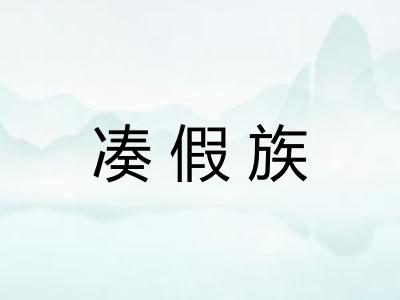 凑假族