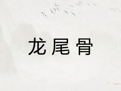 龙尾骨