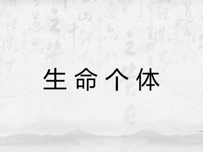 生命个体
