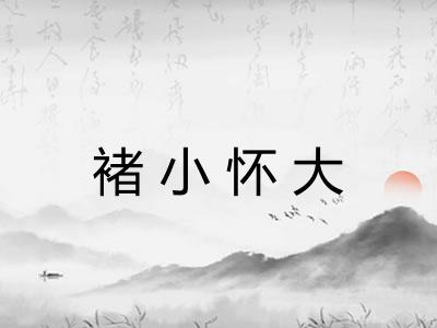 褚小怀大