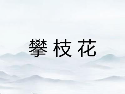 攀枝花