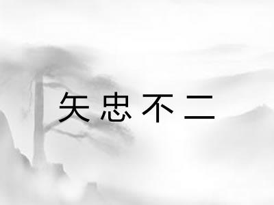 矢忠不二