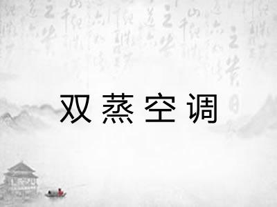 双蒸空调
