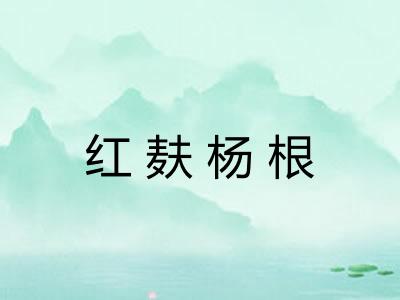 红麸杨根