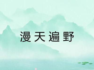 漫天遍野