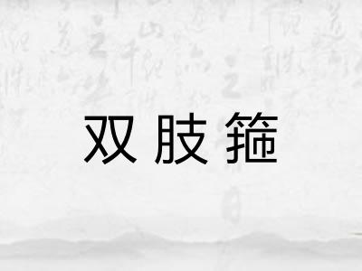 双肢箍
