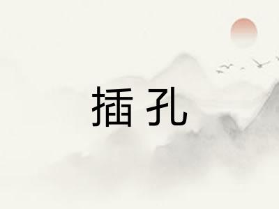 插孔