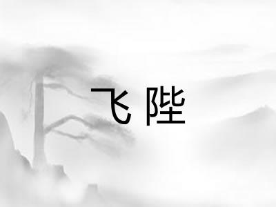 飞陛