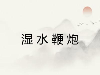 湿水鞭炮
