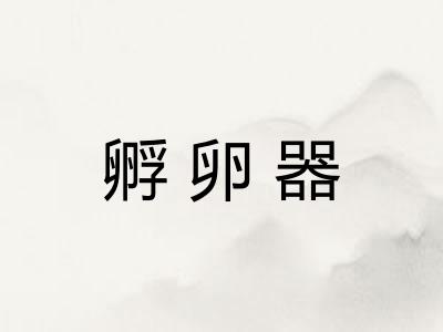 孵卵器