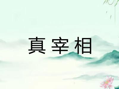 真宰相