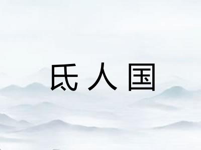 氐人国