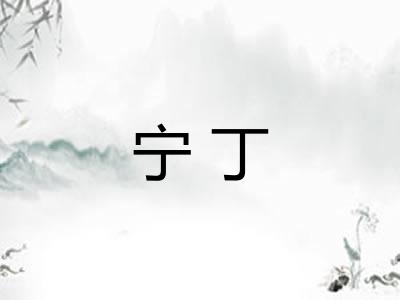 宁丁