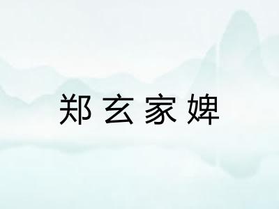 郑玄家婢