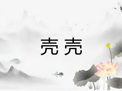 壳壳