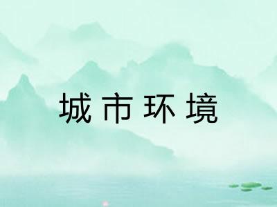 城市环境