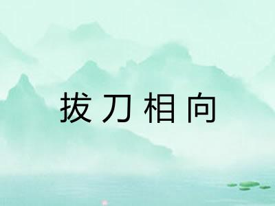 拔刀相向