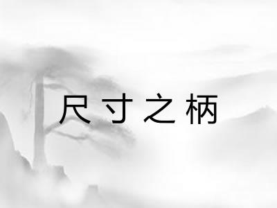 尺寸之柄