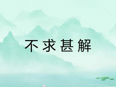 不求甚解