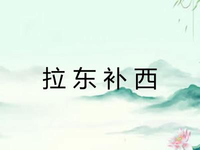 拉东补西