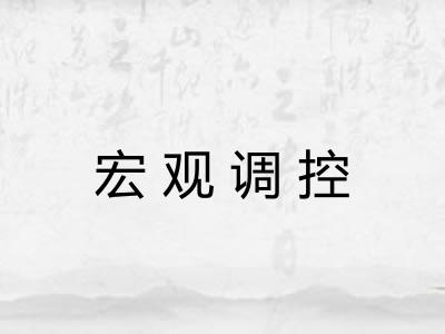 宏观调控