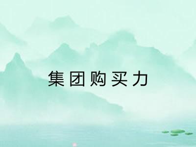 集团购买力
