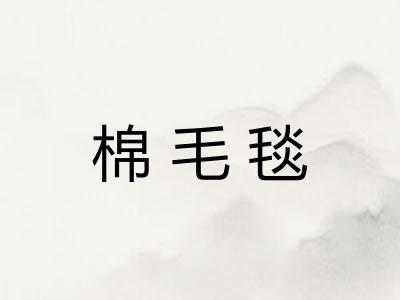 棉毛毯