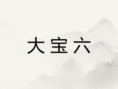 大宝六