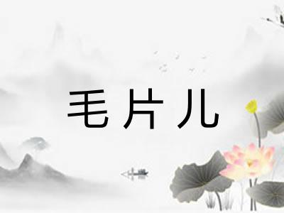 毛片儿