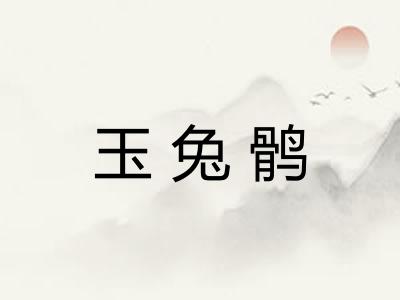 玉兔鹘