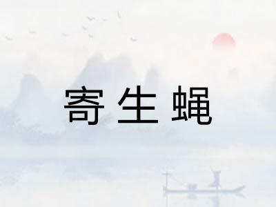 寄生蝇