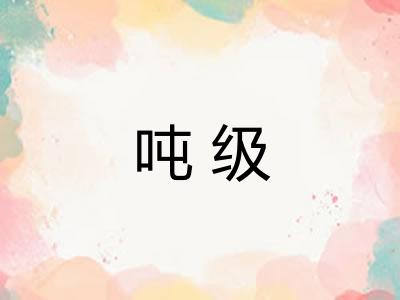 吨级