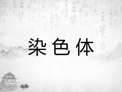 染色体