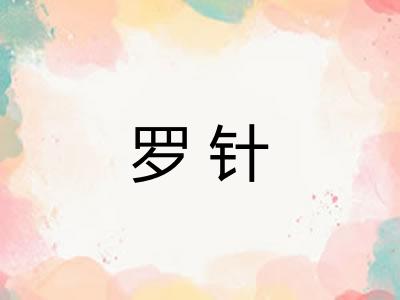 罗针