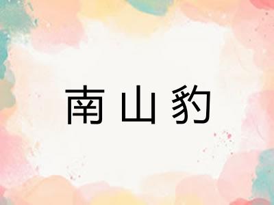 南山豹