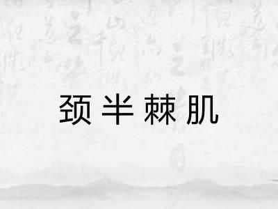 颈半棘肌