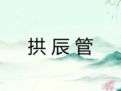拱辰管