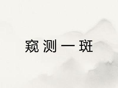 窥测一斑